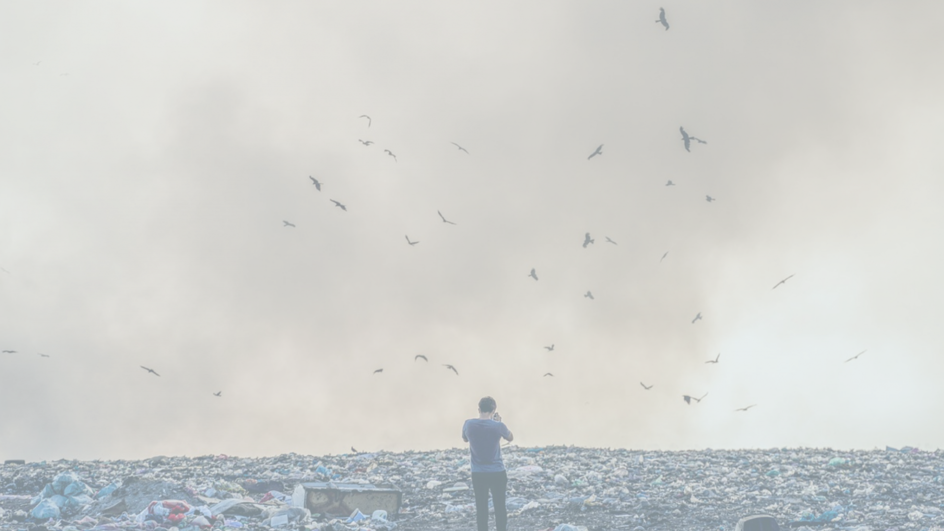 Rebel studie Smart Delta Resources afvalstromen